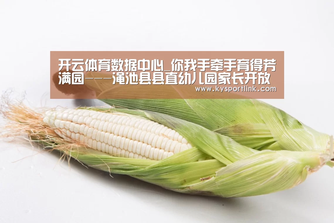 开云体育数据中心_你我手牵手育得芳满园---渑池县县直幼儿园家长开放日活动(图2) 开云体育数据中心