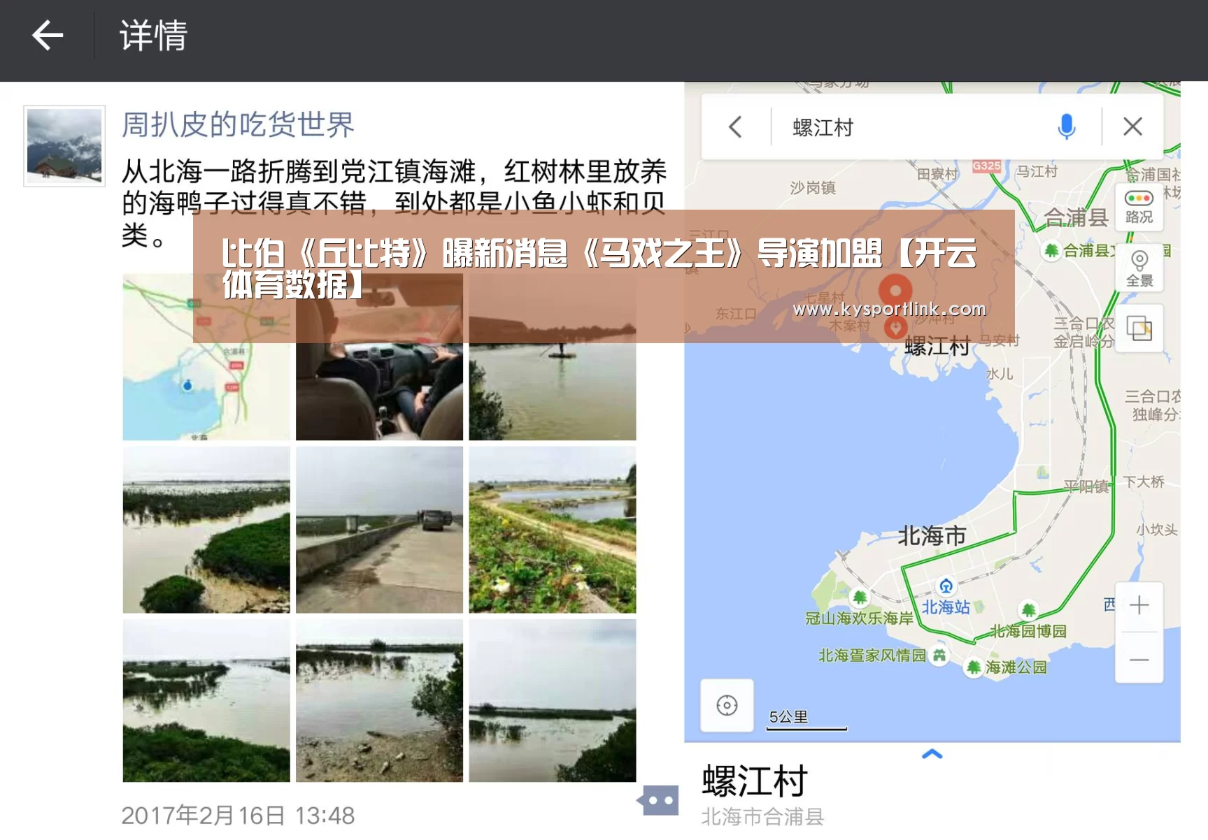 开云体育官网