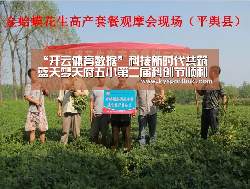 开云体育数据