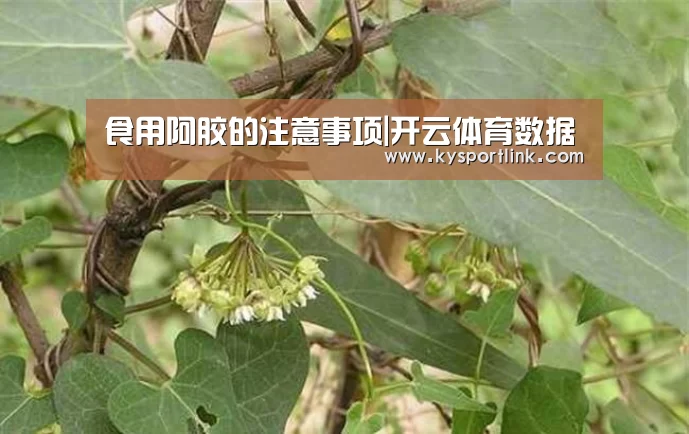 食用阿胶的注意事项|开云体育数据(图3) 开云直播